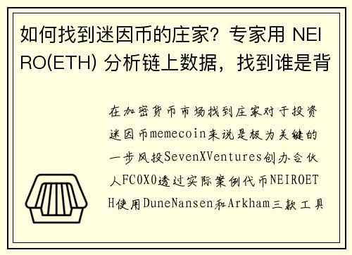 如何找到迷因币的庄家？专家用 NEIRO(ETH) 分析链上数据，找到谁是背后的鬼