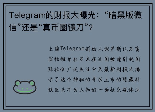 Telegram的财报大曝光：“暗黑版微信”还是“真币圈镰刀”？